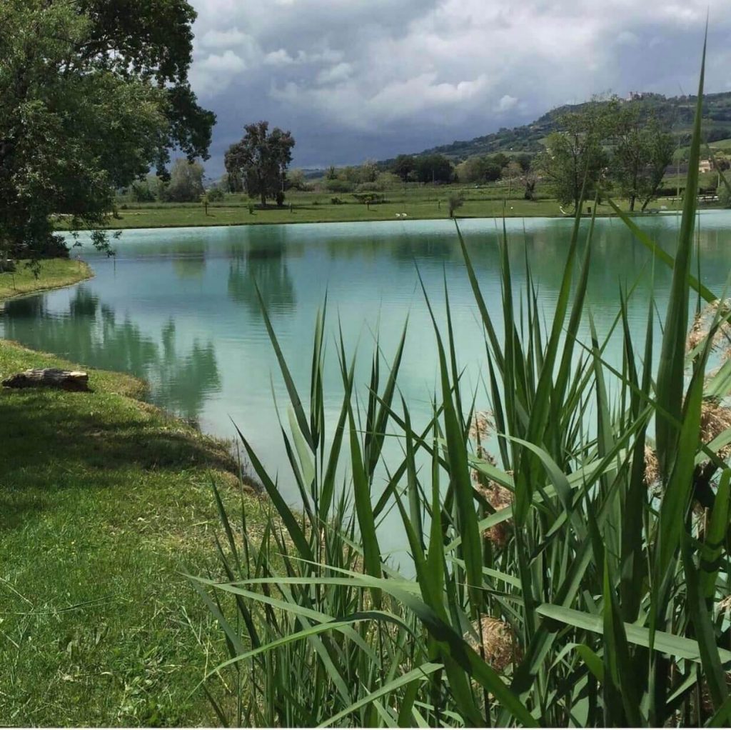 Lago dei Cedri